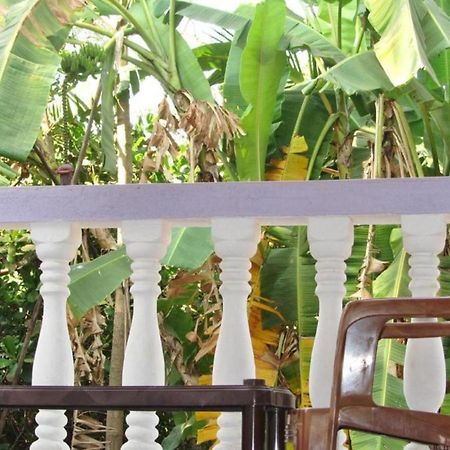 Fraddie Guest House كالانغيُت المظهر الخارجي الصورة